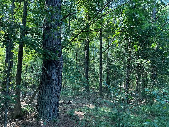 4th image of 460 Petrey Hwy