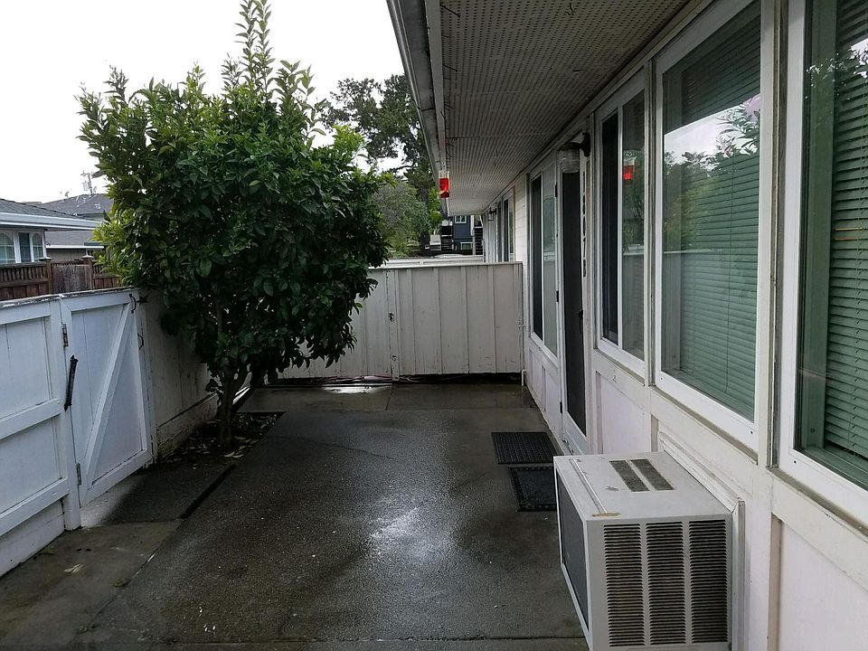 Private patio with fruit tree.