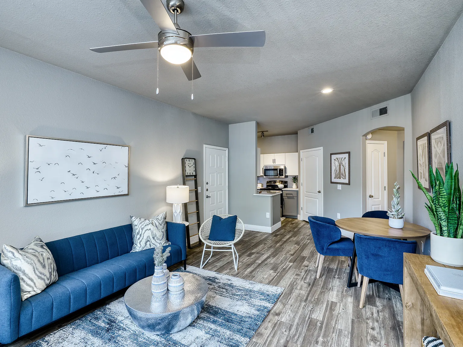 Oxford Apartments — Photo 4