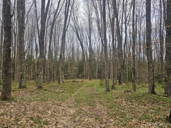 23 Camp Rd, Gulliver, MI 49840