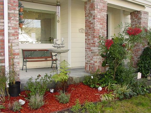 Front Yard
