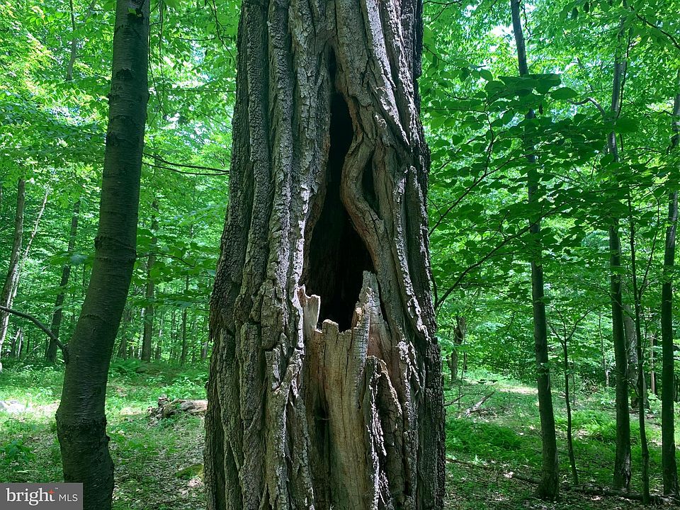 1st image of Wilderness Dr