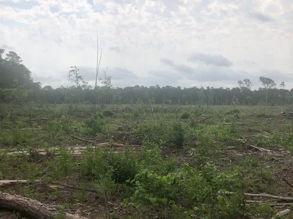 0 Cypress Btm, Haynesville, LA 71038