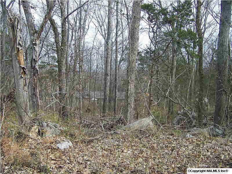 1st image of 11020 Vivian Dr NW