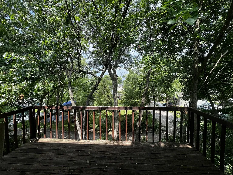 August. The back of the home is high on a hill and has a tree-house feel. Canopy of trees