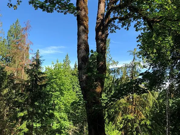 1010 E Benson Loop, Shelton, WA 98584