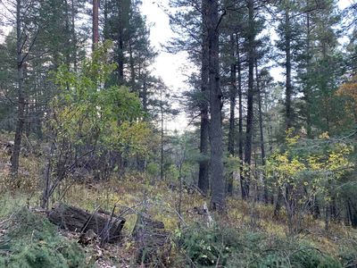 0 Gold Nuggett Aly, Cloudcroft, NM, 88317