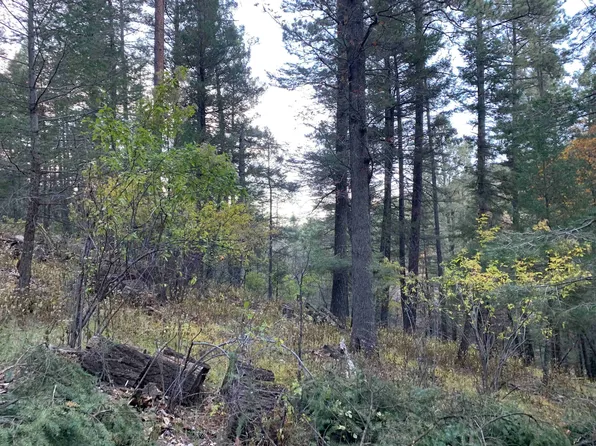 0 Gold Nuggett Aly, Cloudcroft, NM 88317