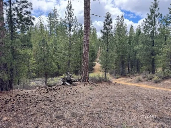 Schoonover 8, Crescent, OR 97733