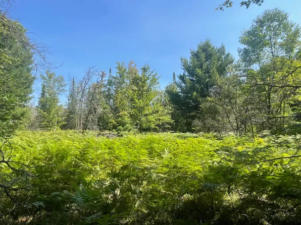 Nn 5th Ave, Marion, MI 49665