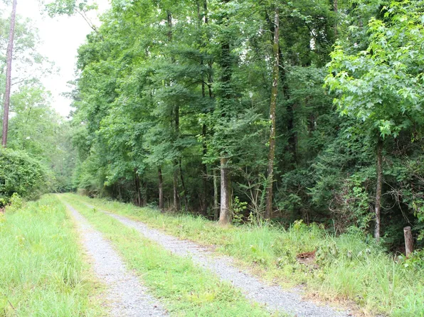 0 Burks Ln, Cotton Valley, LA 71018