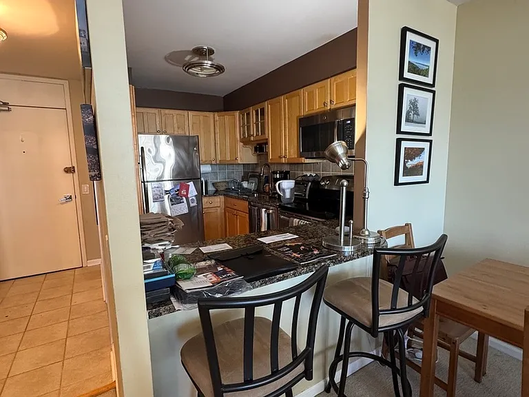 1560 N Sandburg Ter #1505 — Photo 7