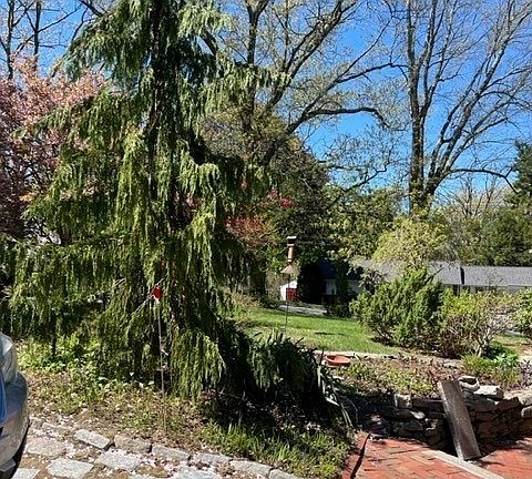3rd image of 23 Howe Ave