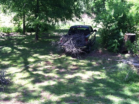 Shaded back yard