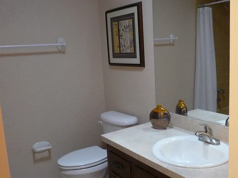 Hall bathroom with bathtub and shower combination
