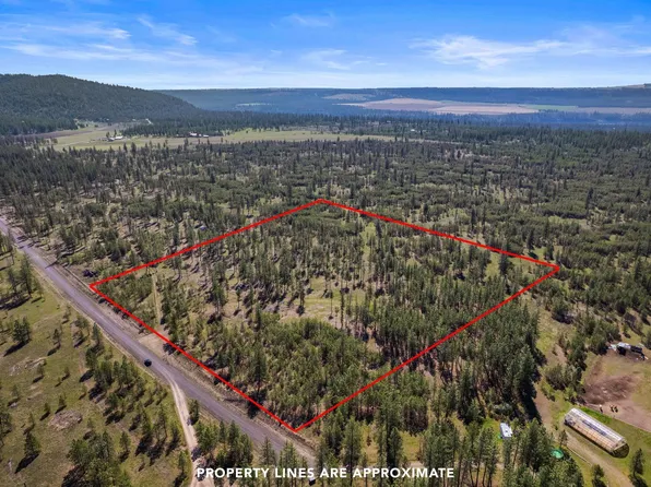 5742 Corkscrew Canyon Rd Lot 3, Tumtum, WA 99034
