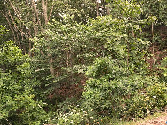 4th image of 3.4 County Road 77