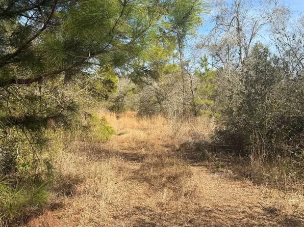 SE Shaw Road Geech Rd, Mayo, FL 32066