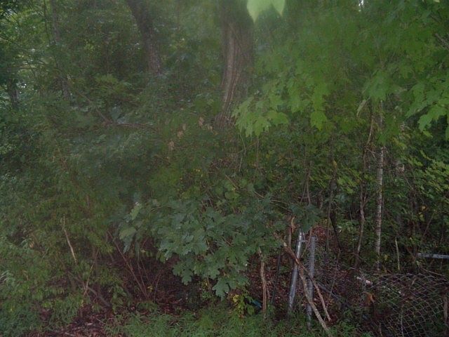 2nd image of 800 Hillcrest Cir