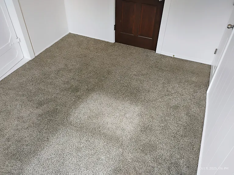 Back Bedroom