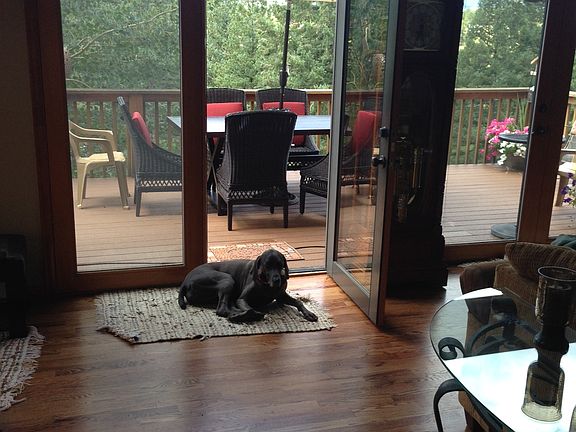 New floor, new deck, old dog