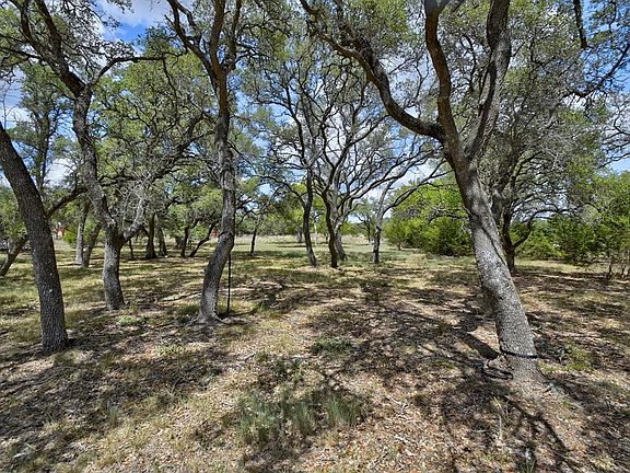 110 S Vaquero Dr, Blanco, TX 78606 | MLS #86082 | Zillow