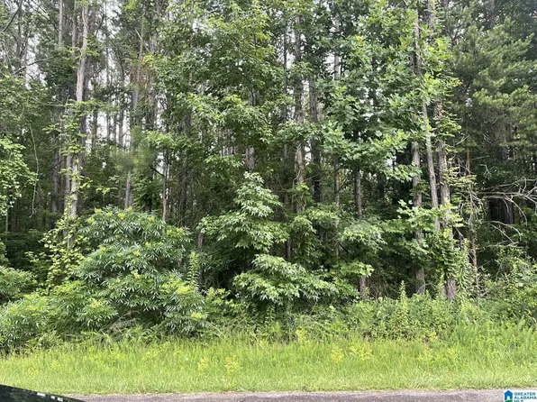 0 Anna Mattison Rd #12, Oxford, AL 36203