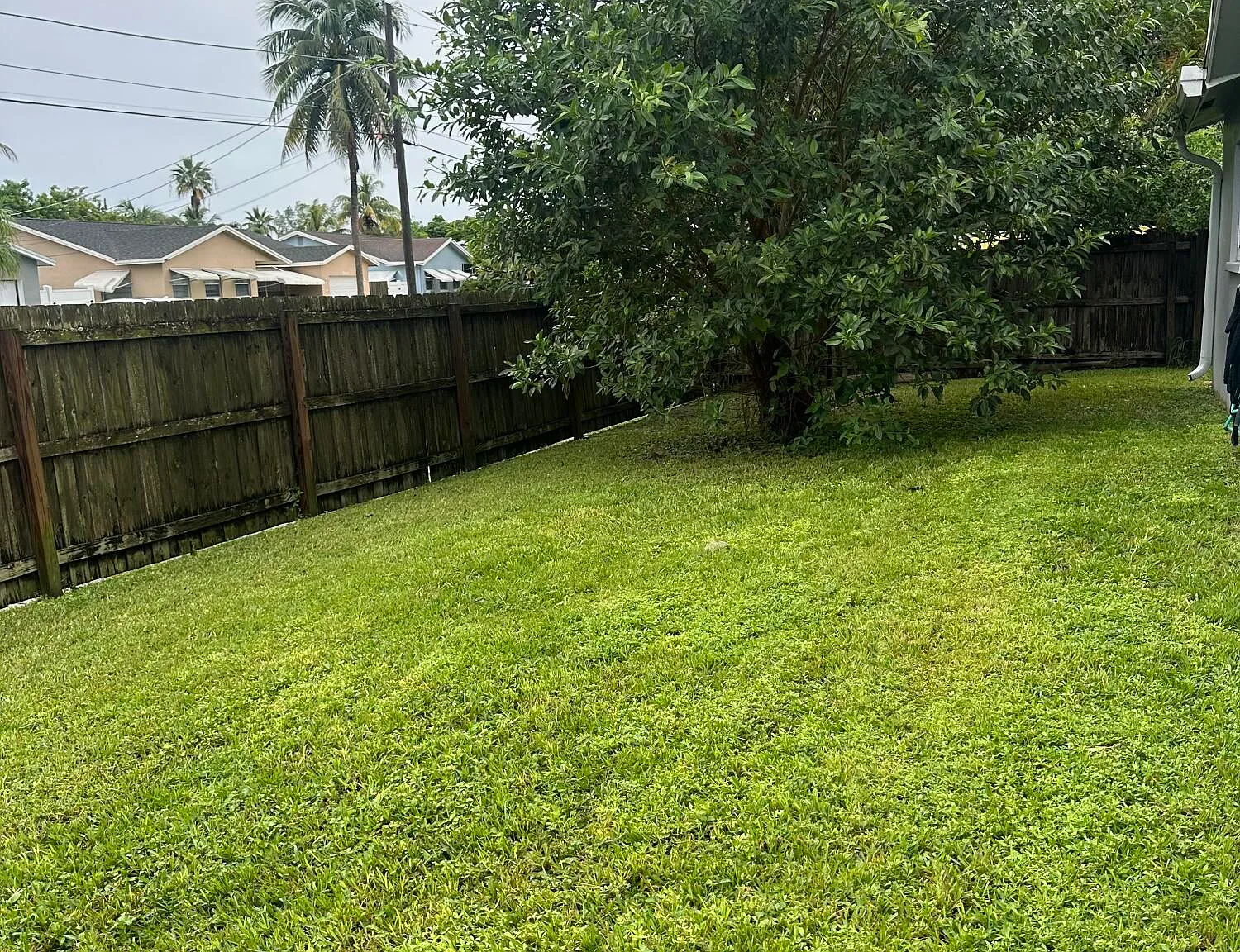 3 bed, 2.0 bath, 1757 sqft, $3,500 — Photo 4