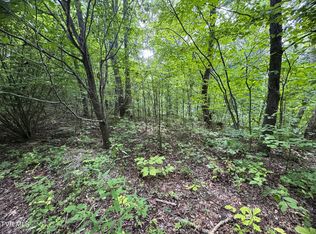 1884 Woodland Way, Newport, TN 37821