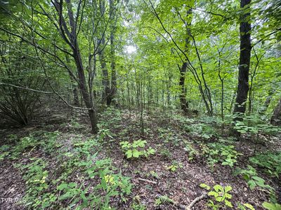1884 Woodland Way, Newport, TN, 37821