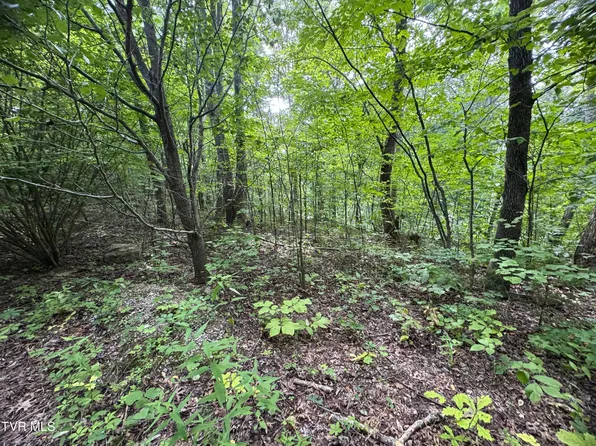 1884 Woodland Way, Newport, TN 37821