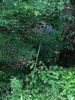 4th image of 14 Harris Mountain Way Lot 14