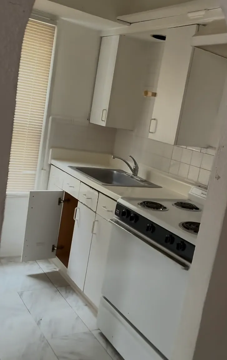 1 bed, $1,200 — Photo 2