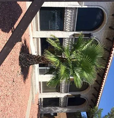 10105 Montwood Dr #D — Photo 20