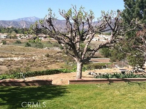 34786 Date St — Photo 19
