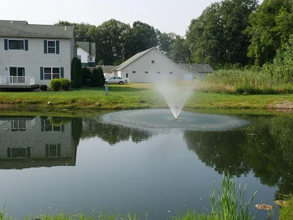 2 bed, 1600 sqft, $1,800 — Photo 3