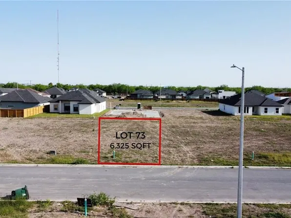 2909 E Tamarindo Ave, Hidalgo, TX 78557