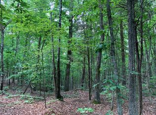 L P Bailey Memorial Hwy, Nathalie, VA 24577