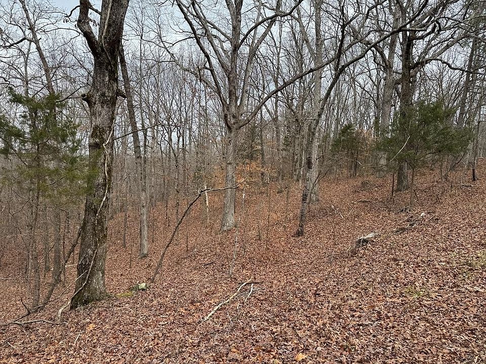 1st image of 613 Williams Grove Rd