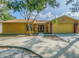 11317 Laurel Crest Ln, Tampa, FL 33624