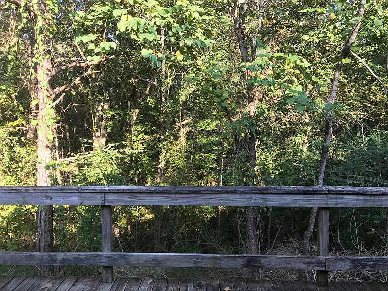 13 County Road 221 — Photo 25