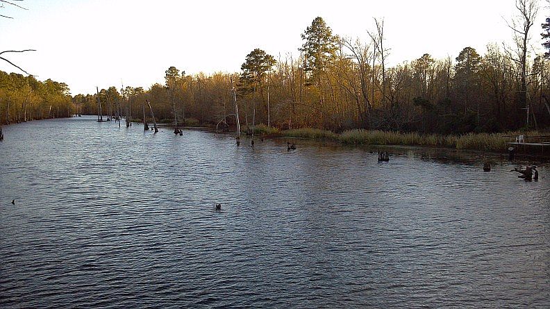 Bodcau Creek Frontage