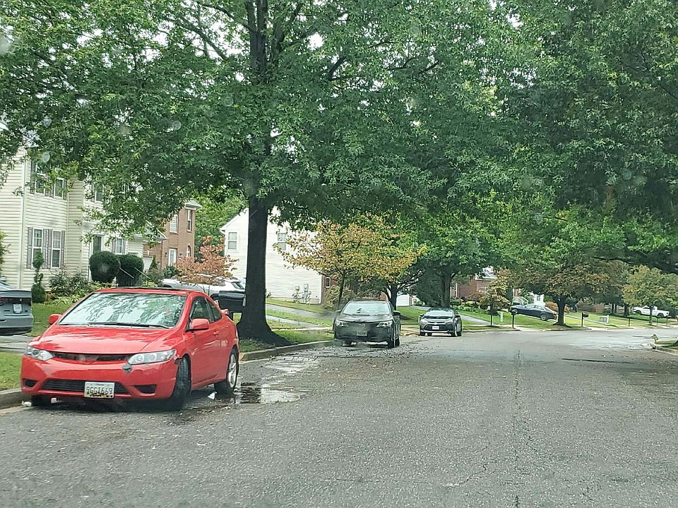 2nd image of 11016 Spring Forest Way