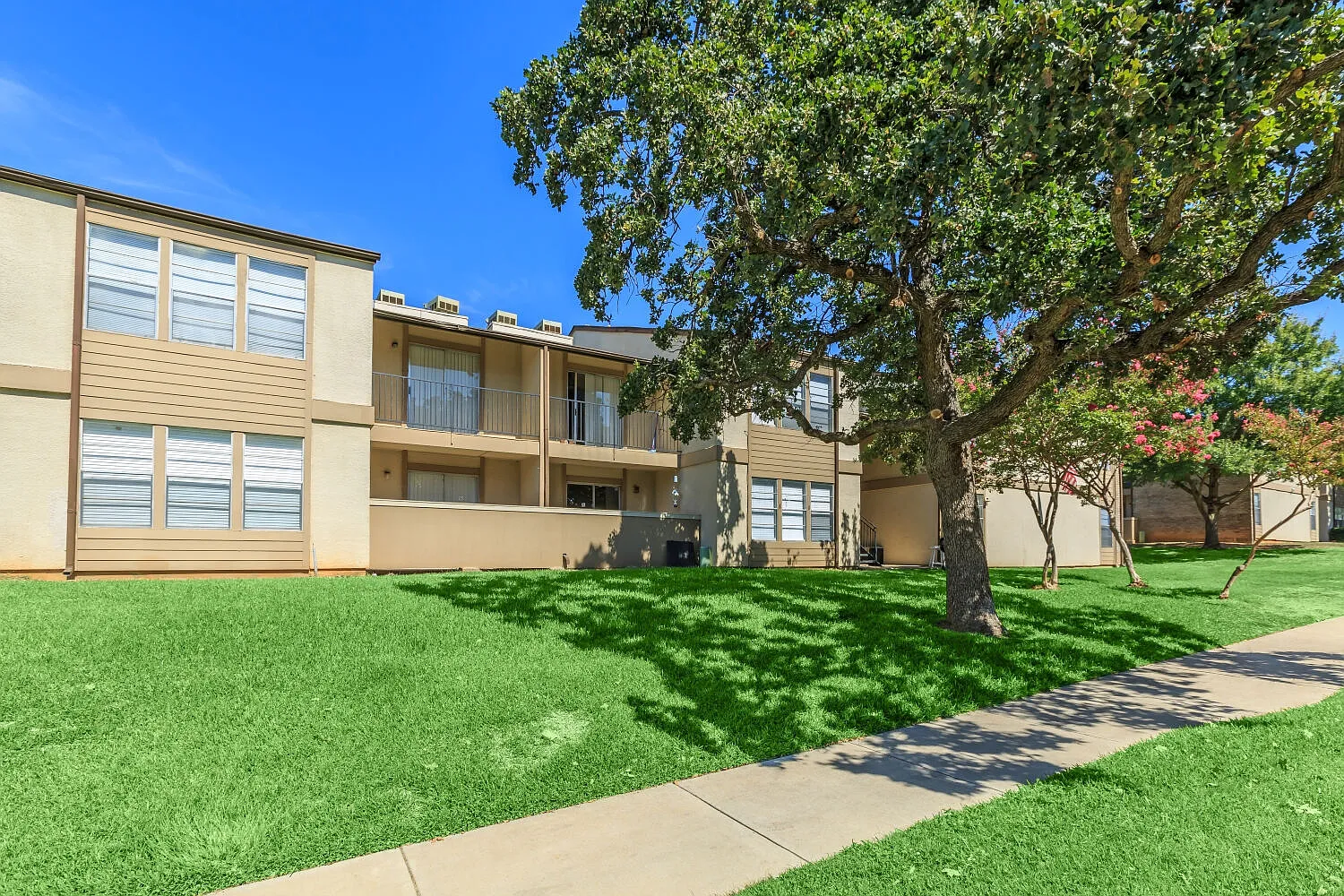 Glen Rose Park — Photo 3