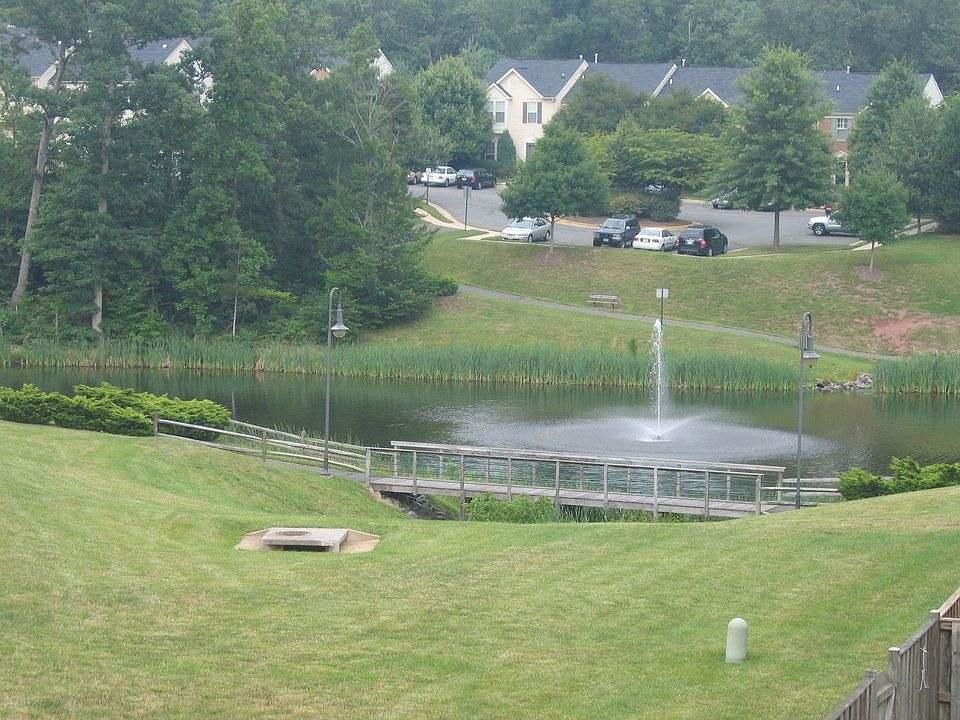 View from Deck