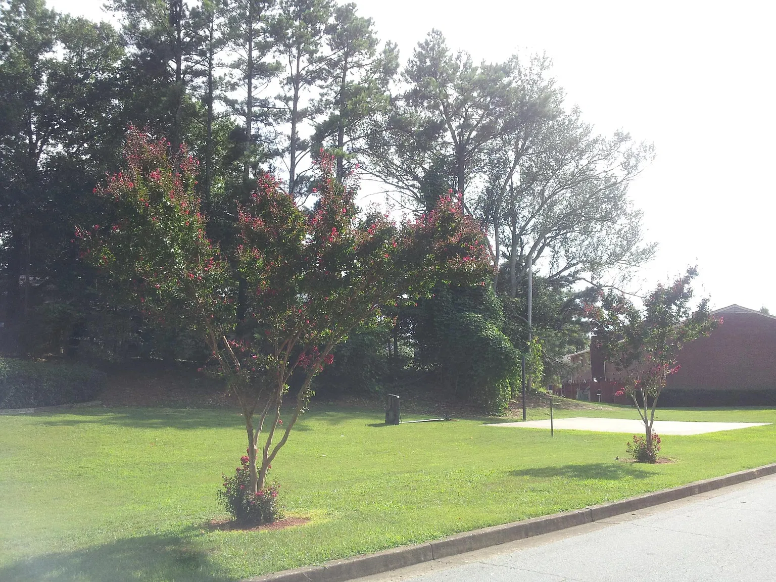 2 bed, 1.5 bath, 1024 sqft, $1,575 — Photo 3