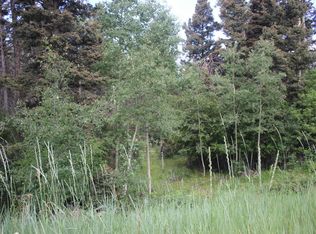 Lot 9 Pleasant Meadow, Black Lake, NM 87710-0000