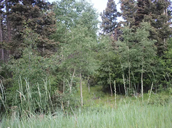 Lot 9 Pleasant Meadow, Black Lake, NM 87710-0000
