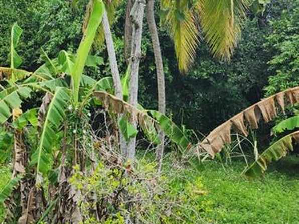 312 Carr Km 1.3 Sector La Quince Monte Gdn, Cabo Rojo, PR 00623