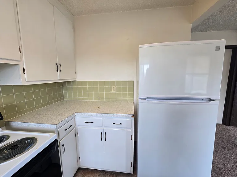 1619 W Pheasant St — Photo 10